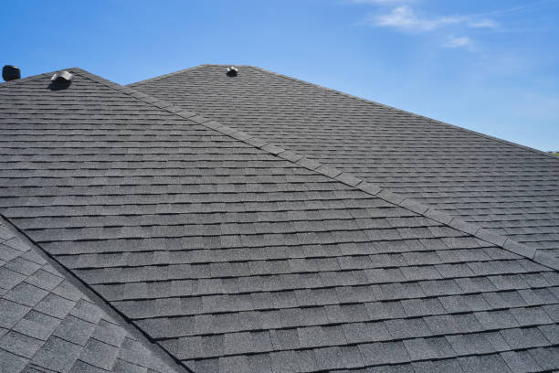 Best Roof Moss and Algae Removal  in Cabool, MO