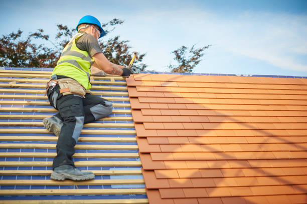 Best Roof Waterproofing  in Cabool, MO